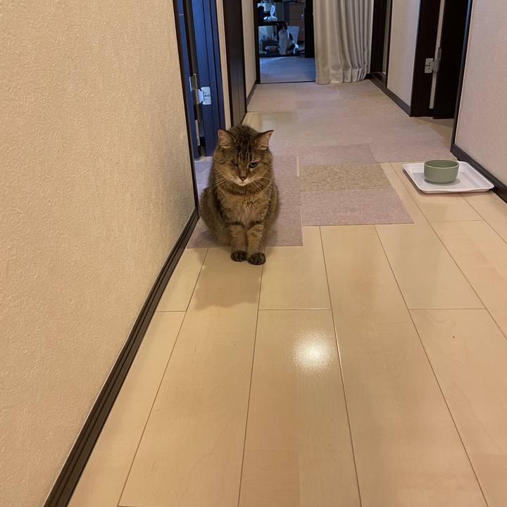 F644400e 45e5 4492 ad48 e0f01f544996 1718923763889