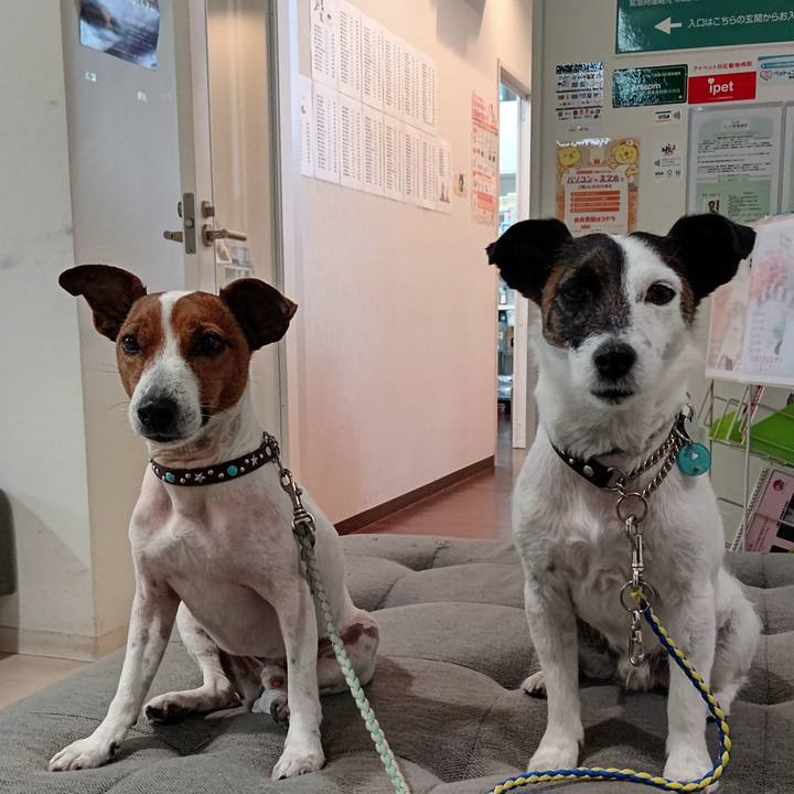 F6444ec9 e439 4412 a79d 105ccd028382 1677930190639