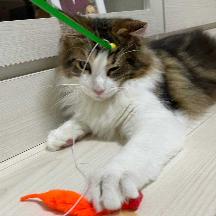 F6446b05 68a0 4efc b162 621a596fa64b 1636377408312