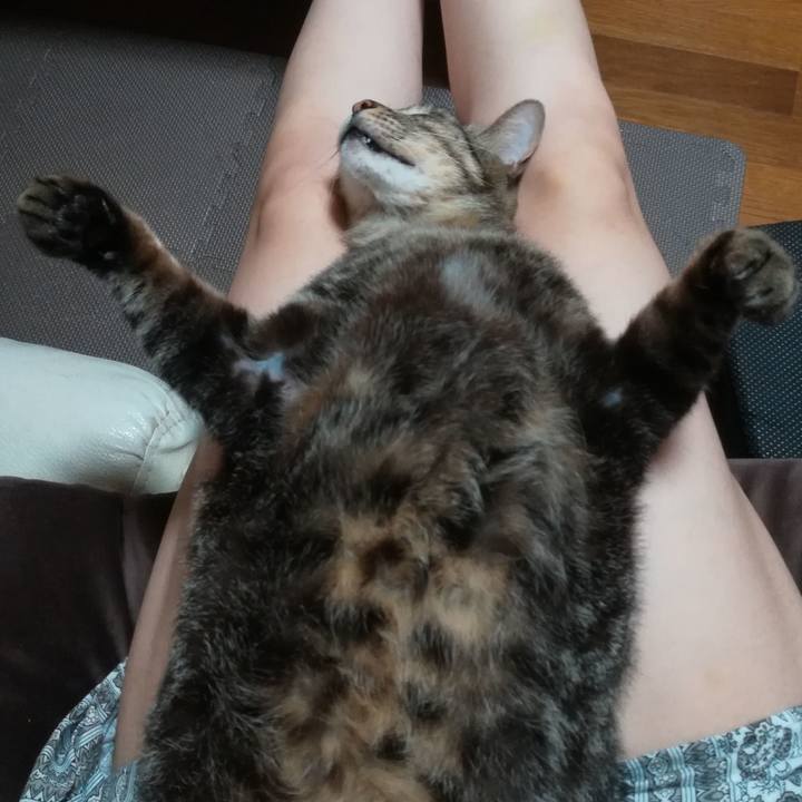 F644a86c 3981 4eec ae93 9f7c73911ad3 1592483184376