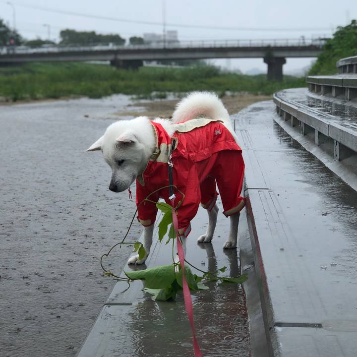 F644b580 2a22 4a75 a7e7 b351f855f4de 1562973869959