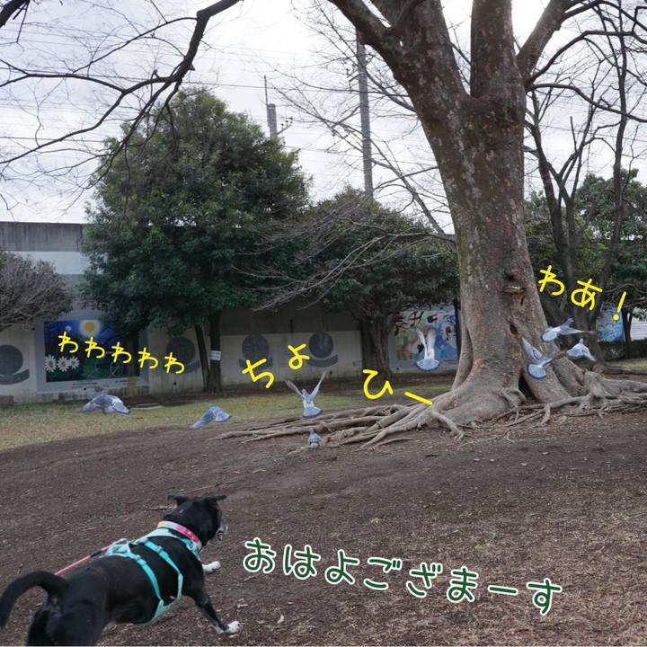 F644d3d5 96d0 4c67 b3dd 2c4756390ba9 1772757111824