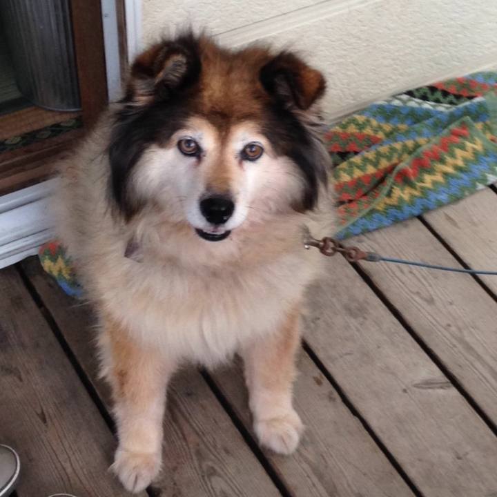 F6457372 413d 42ae 8011 5ab1f62fd105 1602552272419