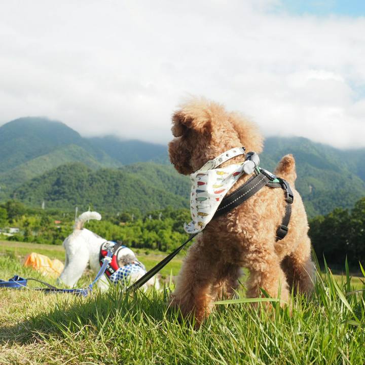 F645a588 c7ae 4b59 9b85 098f40965384 1529221669738