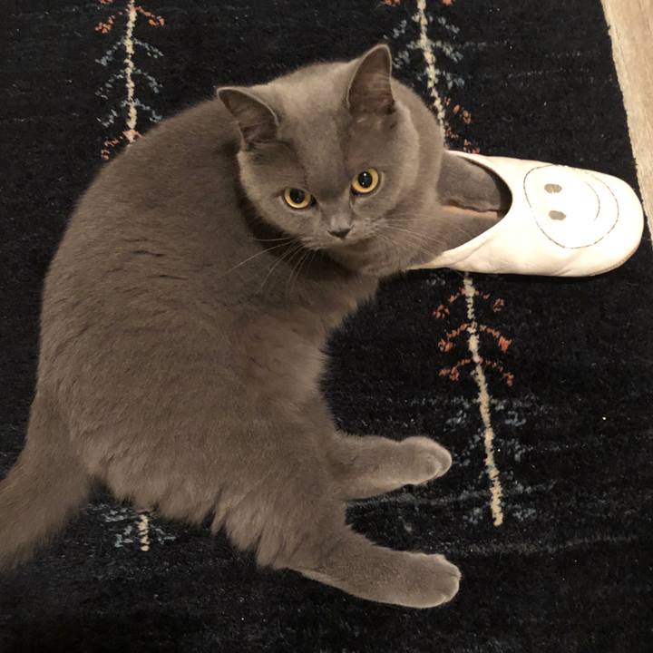 F645ab92 54f4 4baf 9f7e 4d391996225c 1544103204256