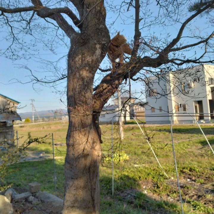 F645bd30 2894 49a0 8f4d 318d836bfc04 1681118490257