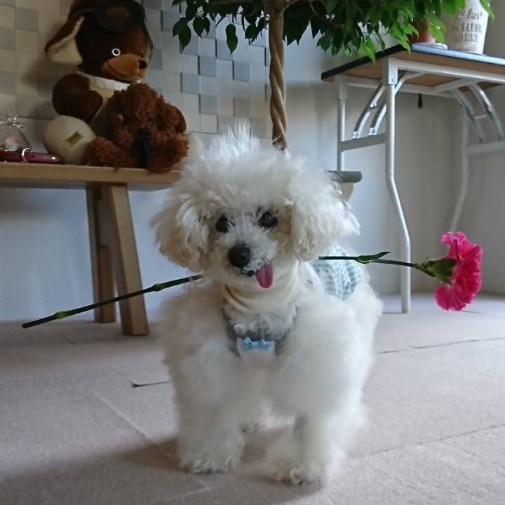 F645e68b 8908 405b 90a7 cdda282ca4e7 1651975850595