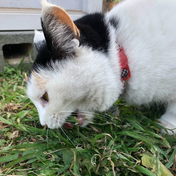 F645f08c f066 421b 837b 7633df7dbca3 1610706421223