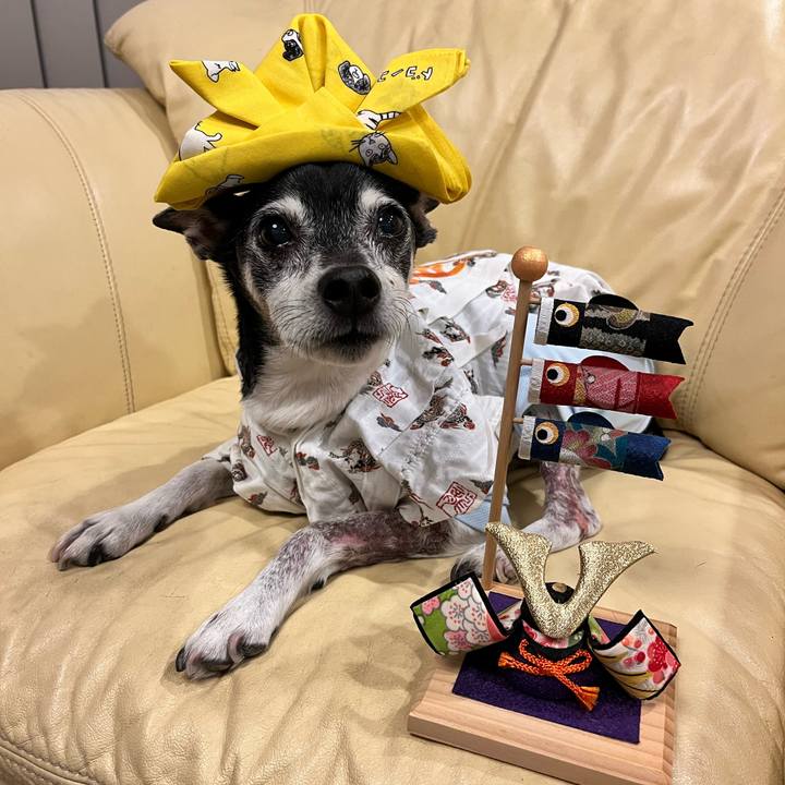 F646087b ee5c 48f1 be3f 744a33557fc1 1651758769391