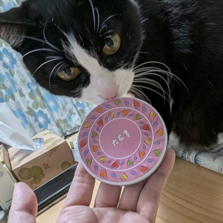 F646322f 0ff1 46d5 95e7 fb5ecaa671ae 1739419806139