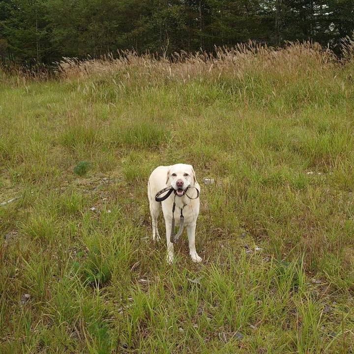 F6465d2b bfae 4747 8ed4 2f4bbaf0c983 1726916130531