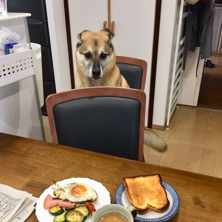 F6468a5a fa53 405d be77 c0318a327cdb 1528328060938