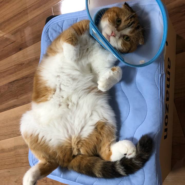 F646c7dc daec 41f9 bed6 e7cbd3da4157 1568120896739