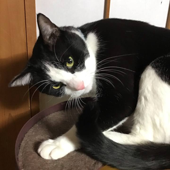 F646def7 7408 4ed9 9e05 90466b138c24 1739958438965