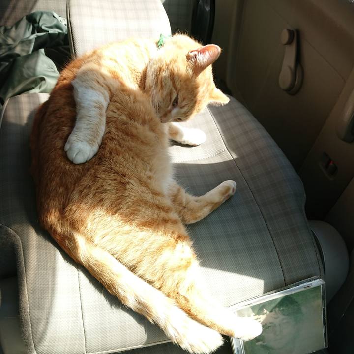 F646e51a c6ab 41b8 8f20 2492b9c1a171 1584767867168