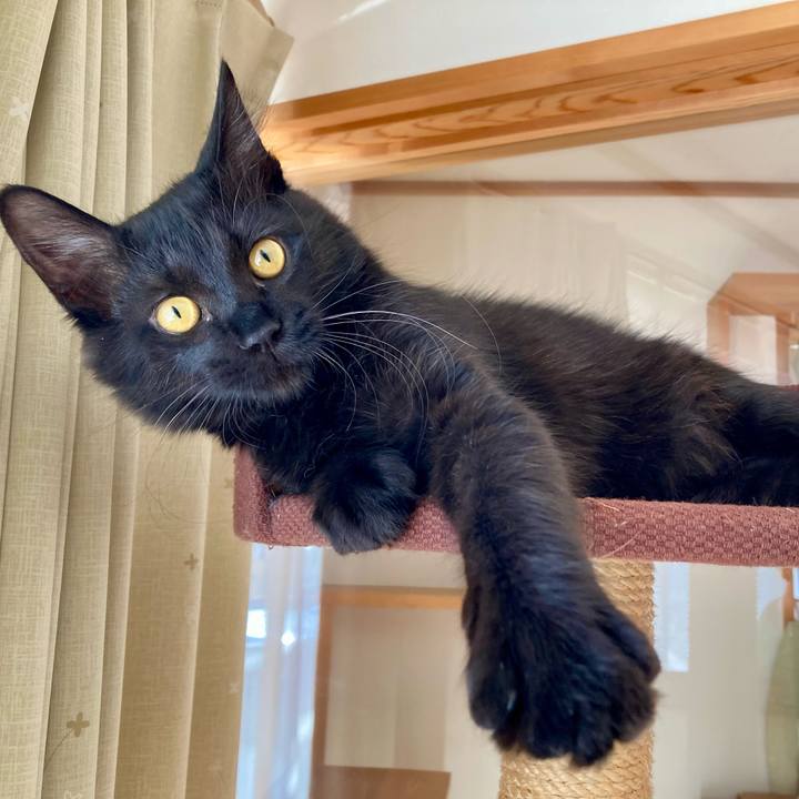 F6470bf7 ebd2 4913 9a89 633324bee7de 1707117834100