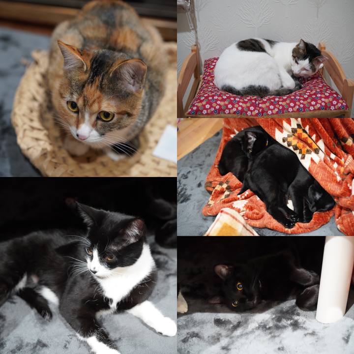 F647a65d 755b 439a 9121 1728b08fa9cd 1579857272489