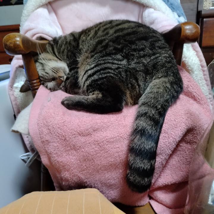 F647a919 a2eb 4796 bfbb 7b3c10a393c1 1673317616494