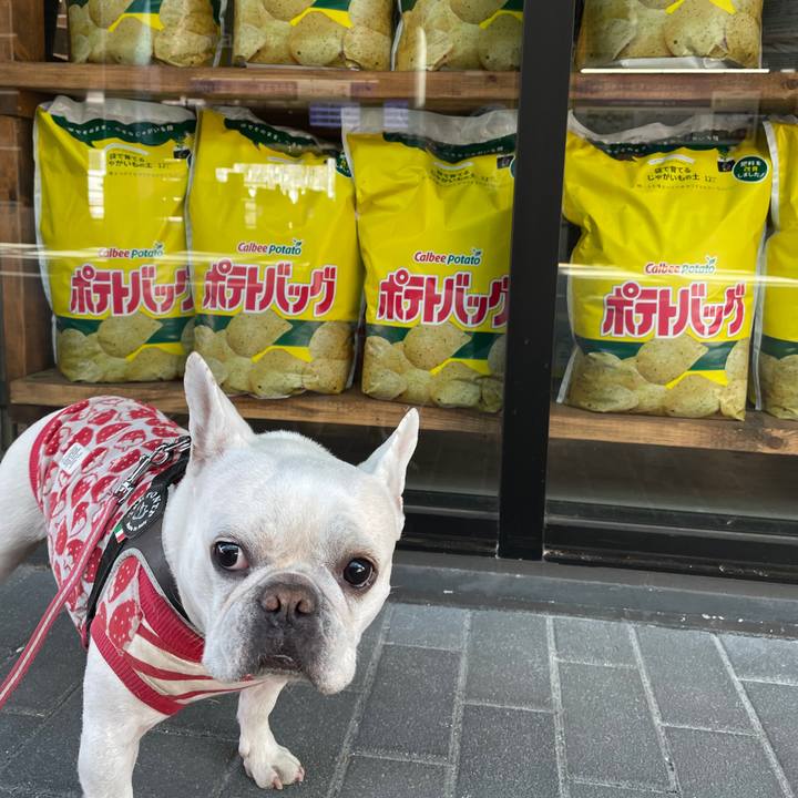 F647c432 eb3c 486e 9b27 ae3b4a104eb5 1739141971970