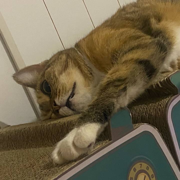 F64841c1 9b1d 4b58 a924 671be0f0b872 1660658101540