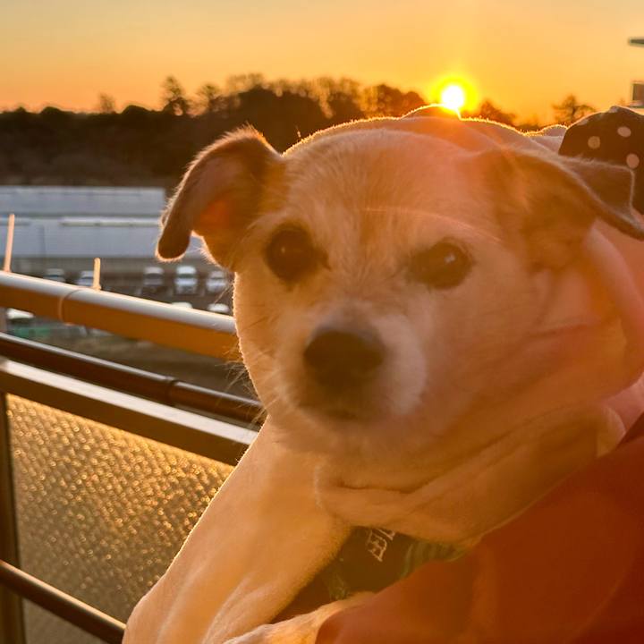 F6488368 3e8f 4049 b84f cd75f6d8887e 1735695015779