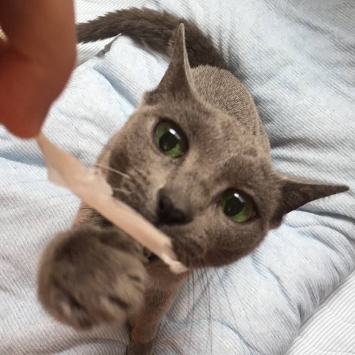 F64886db 63bc 4d57 9acf 9334a80b36de 1572392330048