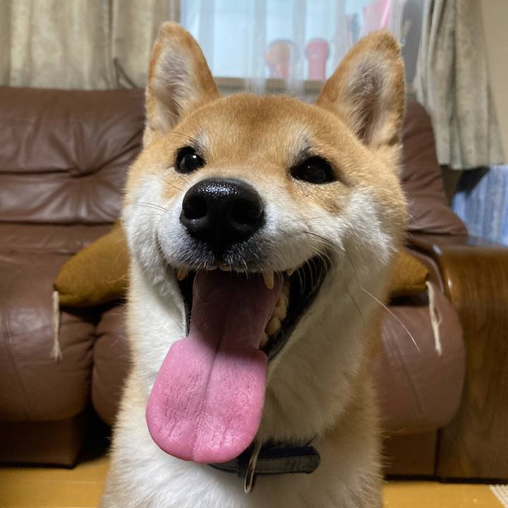 F648be67 f2df 4221 9c0d b1bbf2ad7afe 1655717439250