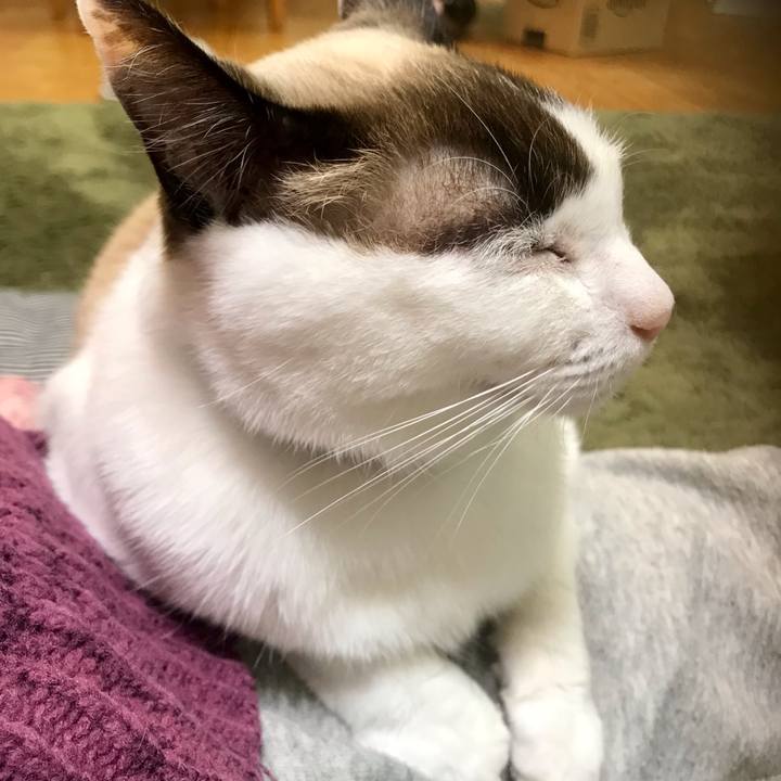 F648cbf7 7e48 4863 99b9 505d82bb6cd5 1610631562005