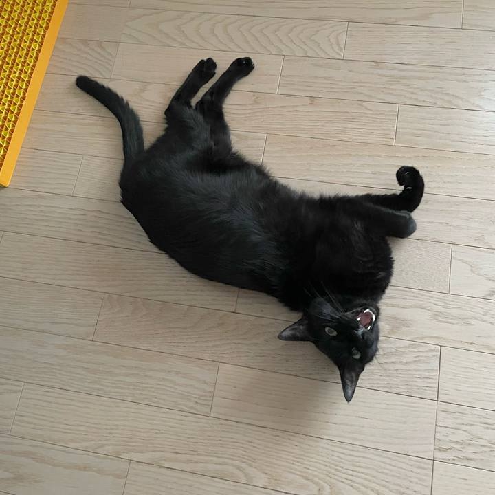 F648dd38 8624 4931 8033 8faea7490d1e 1727508621372