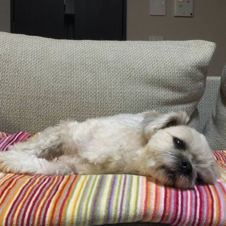 F6492965 3542 4af4 b660 5a0835b41cc6 1515322704635