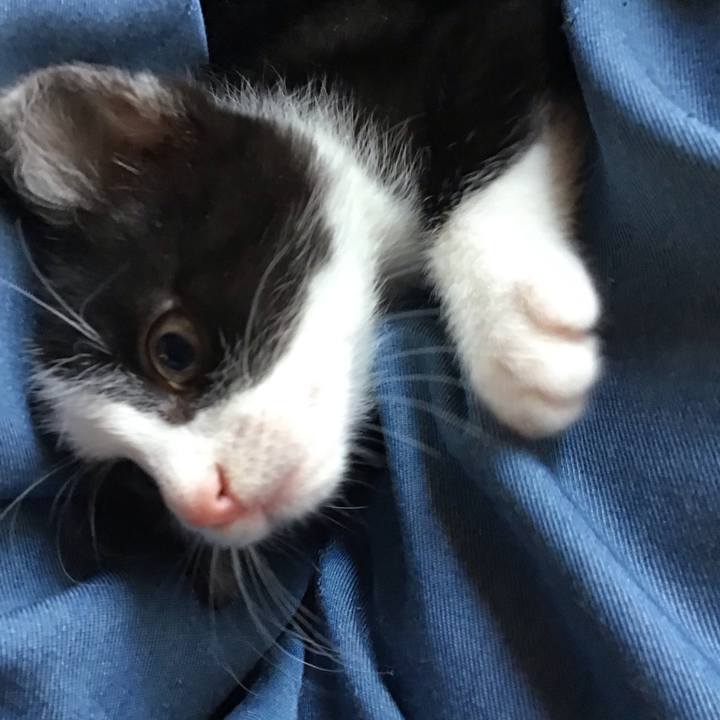 F6494068 8159 4b08 adbe cf2aac10a345 1624327367862