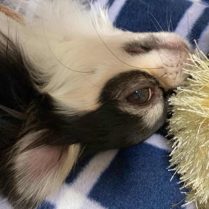 F6498dfe 98ae 42bd a8f0 955c68932c30 1612096839698