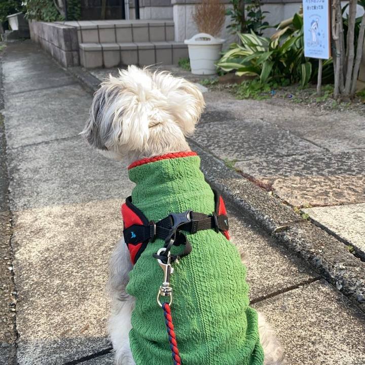 F649dd3c 7aa2 4ed3 be37 5befbb7d6d0a 1765169629747