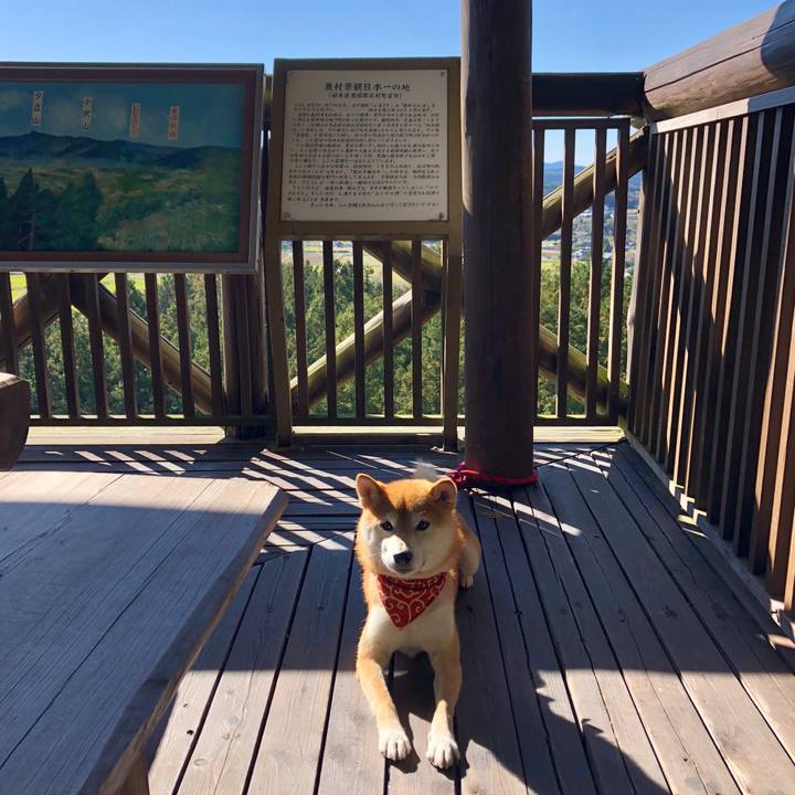 F649edaa 169f 4b45 9f6b becd6890c988 1541150063740