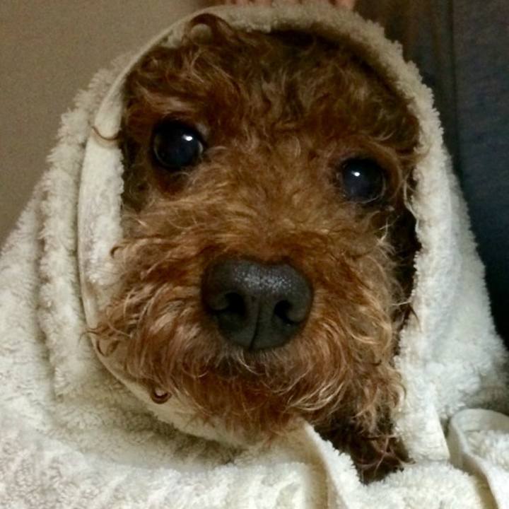 F649f91a c488 41d1 9e62 b832005c495d 1554128438818