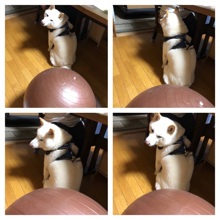 F64a2314 e77b 48fa afbe d1399f06a352 1630489641612