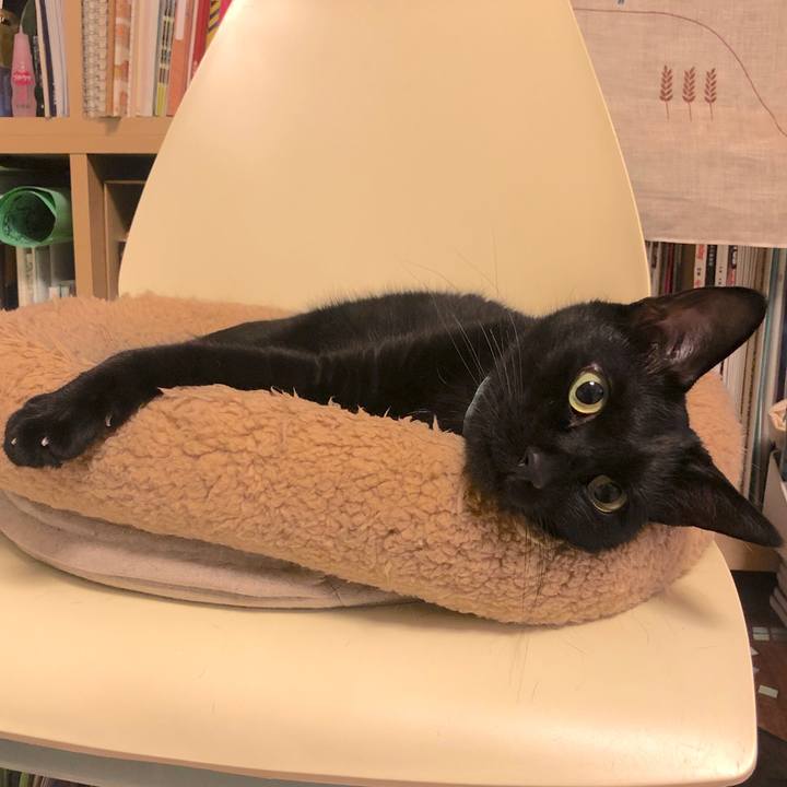 F64a629e ea99 4598 9ae2 8d3a13183f17 1571229838919