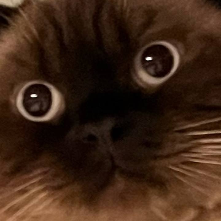 F64a6341 bd8b 4f28 a4e8 e221bb080ce1 1697847795140