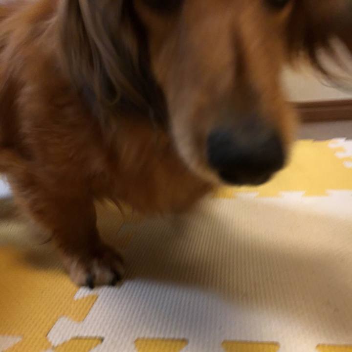 F64a9497 91ca 4454 bf4d 4e754d73e3e8 1565275883794