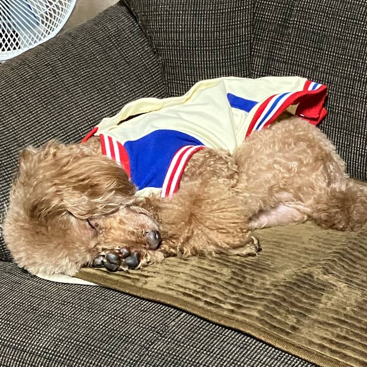 F64ad03b 9c3e 4ea7 8715 b39e21929e07 1665377828160