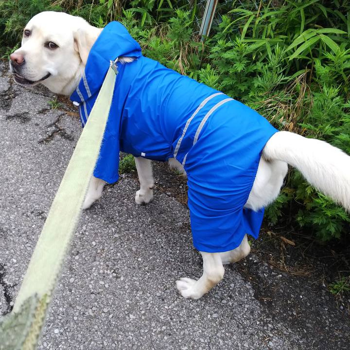 F64ae723 3050 4ee8 9889 deb21633c468 1529042013330