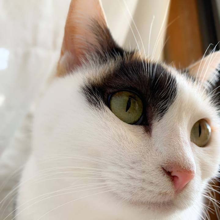 F64af224 168d 48c7 bc2e d11bfcbcd9ea 1578362694540