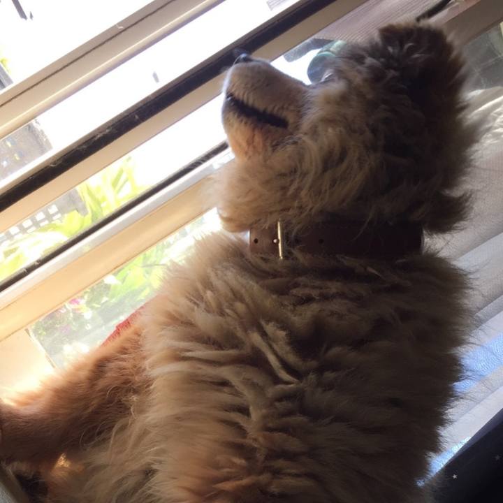 F64af5ed 012e 4d71 b9f5 3fc9278c65d0 1601593034401