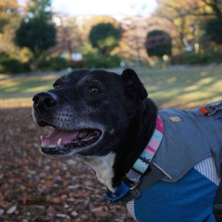 F64b1cfd fa27 481c adf9 435504f7f951 1763336881800