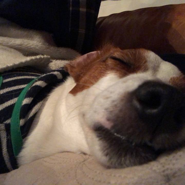 F64b2583 b93f 424a 83dc 555314e79fda 1557139086832