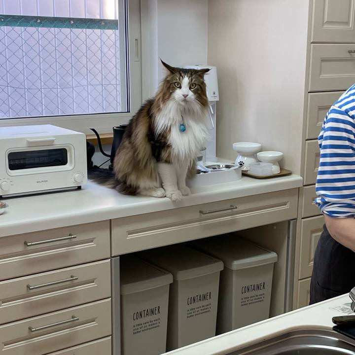 F64b634c c70d 4750 b8f1 c94cf32a8b3a 1714253293233