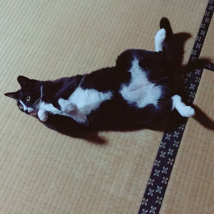 F64b8181 5ebe 42d2 be93 57f550ee7f7b 1560951546232