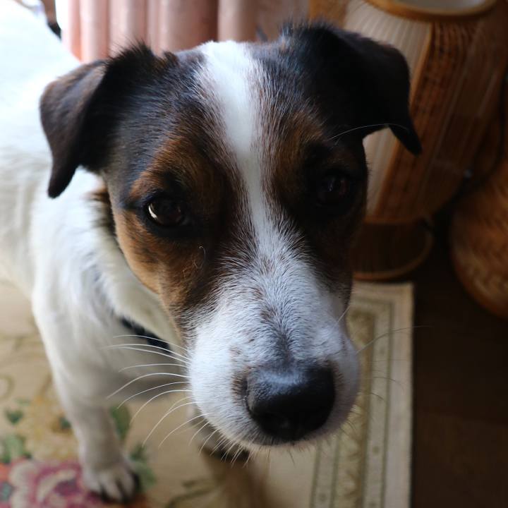 F64c08bb 6805 47ef 9412 35c06e063b82 1553394171085