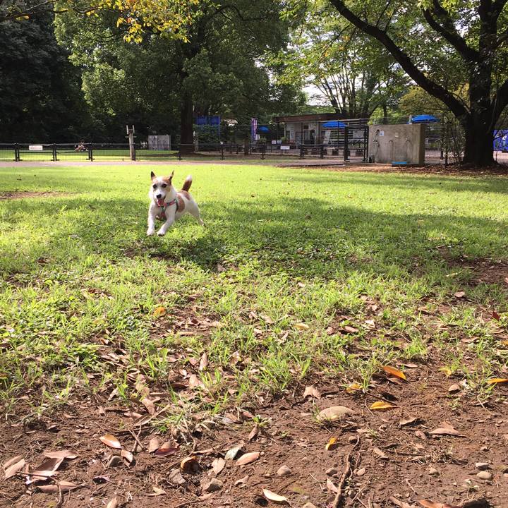 F64c0e87 ee88 43df afe1 25ef25e16286 1629761698494