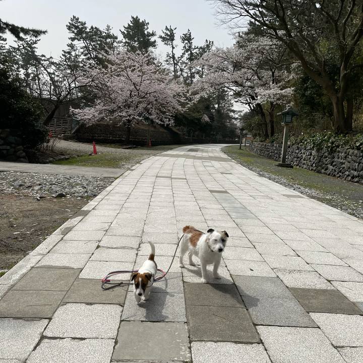 F64c5e37 e462 4902 aaae f5ae34ef49cc 1617070499979